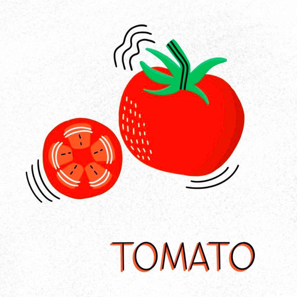 Tomato Illustration | Lindsay Goldner - No Fonts Given Co