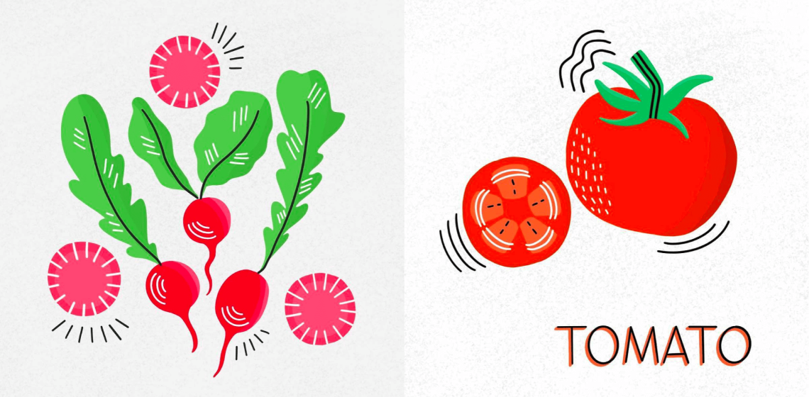 L: radish illustration in a stylized mid century style R: tomato and tomato slice illustration in similar mid century style with the word 'tomato' in black layered on red below it